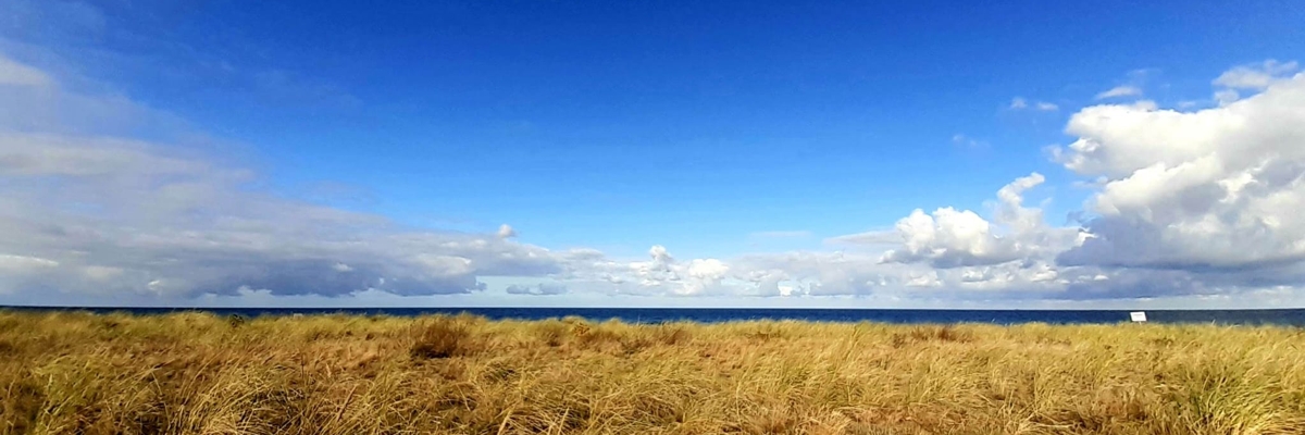Dünen-Blick aufs Meer